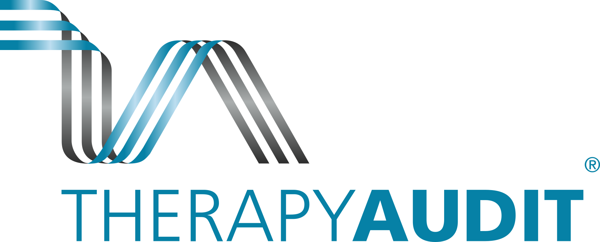 THERAPYAUDIT